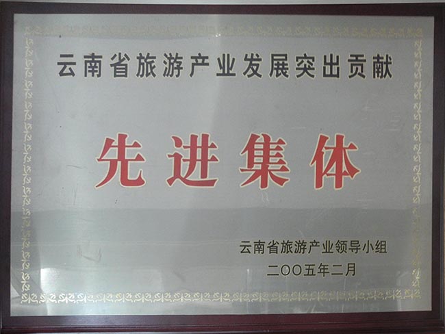 6-2005年省旅游產業(yè)突出貢獻先進集體